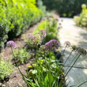 Meet your Posher, Jenny